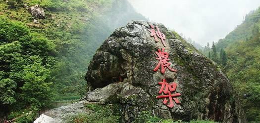流浪大师的行为，能理解吗？